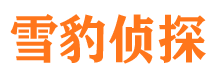 新罗外遇出轨调查取证